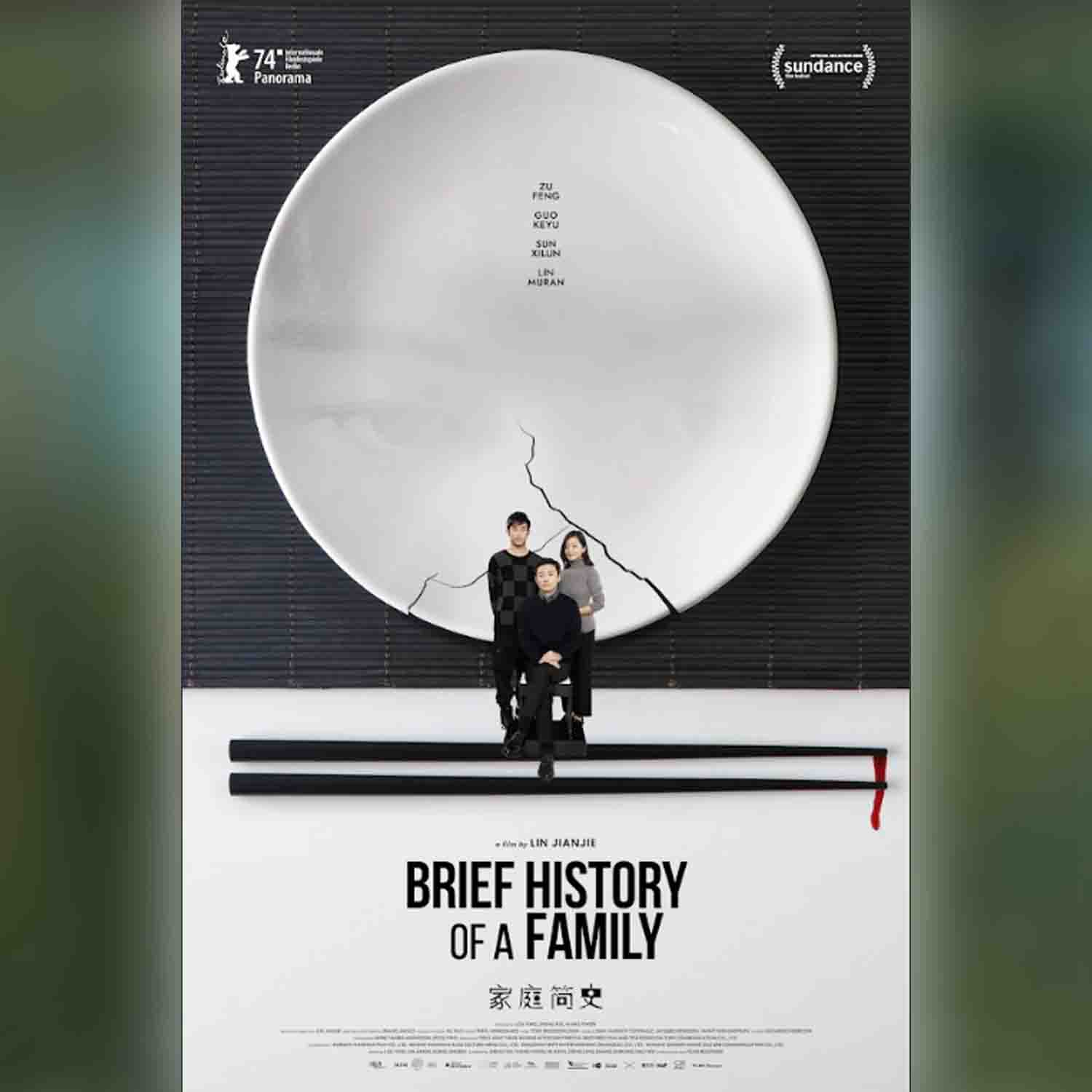 ब्रीफ हिस्ट्री ऑफ अ फैमिली छवि