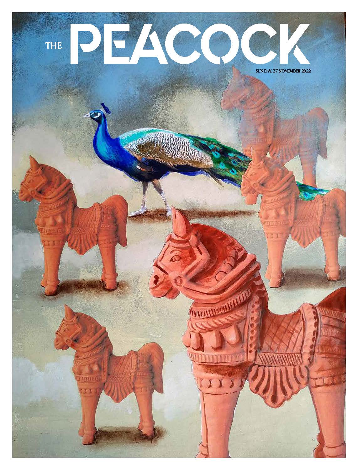 The Peacock - Issue 8 - 27-11-2022