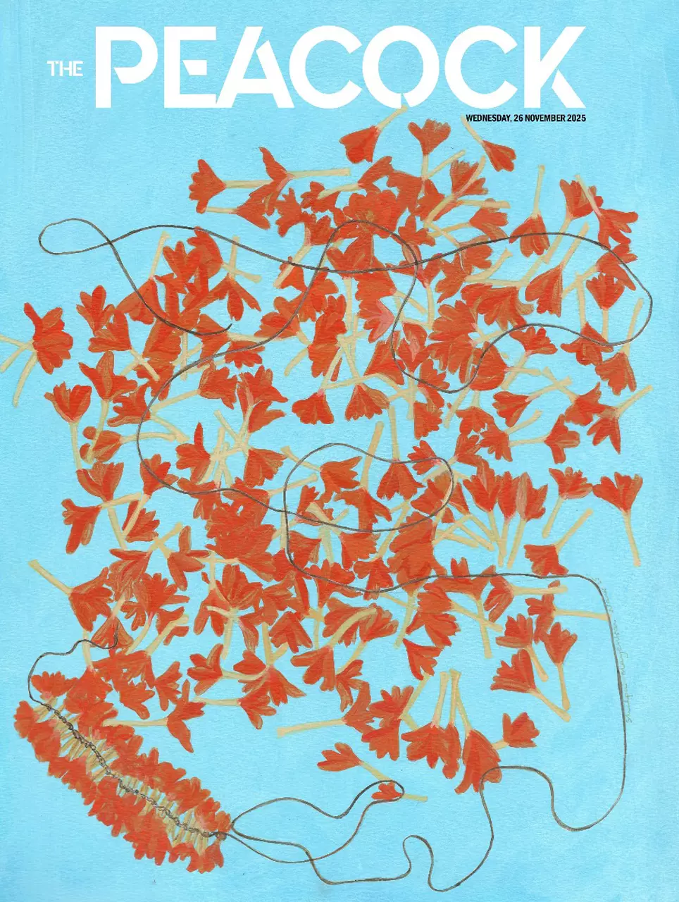 The Peacock - 26-11-2025 image